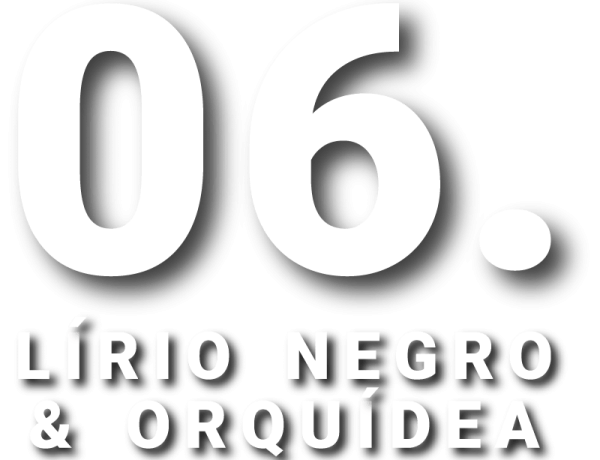 06 06